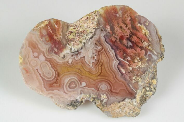 Polished Banded Laguna Agate - Mexico #191929